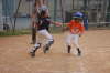 Play at the Plate